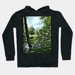 Park With Bridge in Distance Hoodie